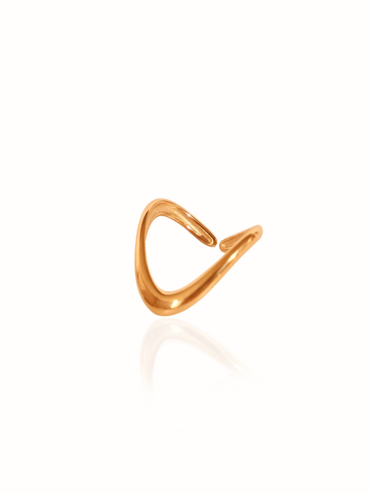 Anillo Encontrar-ser