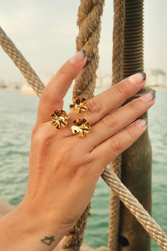 Anillo Positano-Solmare