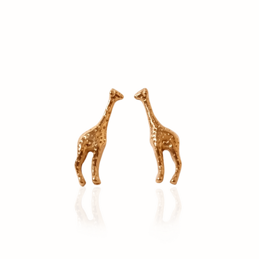 Aretes Sierra - Solmare
